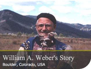 William Weber's Story