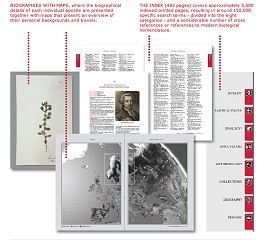 Volume Eight