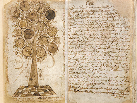 The Carl Linnaeus Notebook 1725 - 1727