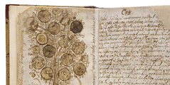 LINNAEUS' NOTEBOOK FROM 1725