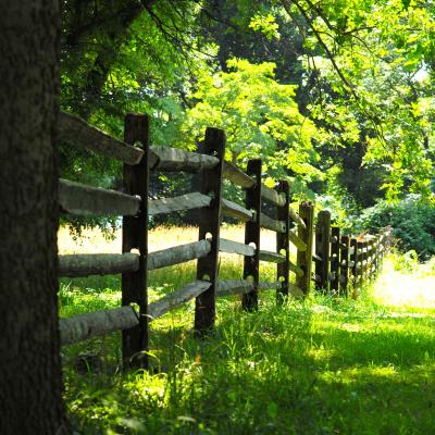 WOOD FENCE, USA // Lars Hansen