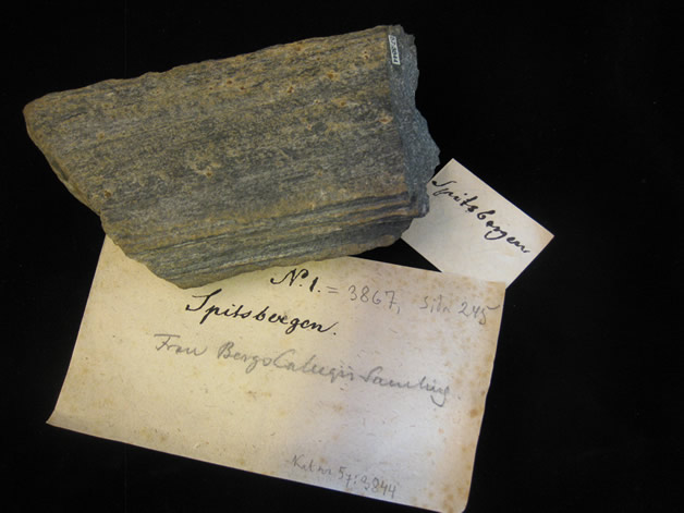 Spitsbergen Rock Sample