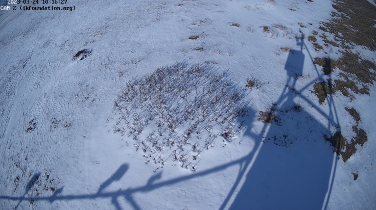 EXPLAINER | THE FIELD STATION | SOLANDER’S EYE #Solander250 @uni_iceland