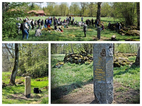 DANIEL ROLANDER (1723-1793) the Linnaeus apostle, who went to Suriname. He was yesterday honoured with a memorial stone at his birthplace Stibbetorp, Sweden. Lars Hansen, Head of the IK Foundation, inaugurated the stone — an impressive work by the local Homestead Museum, Hälleberga Hembygdsförening.