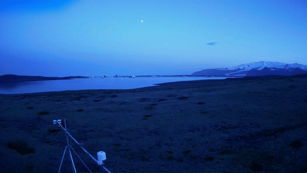 Reindeer observed by THE FIELD STATION SOLANDER’S EYE in the early morning 31st of May 2023 in Vatnajökull National Park, Iceland. Based on a simple remote capture and experimentally edited by Studio IK | @fortsunlight