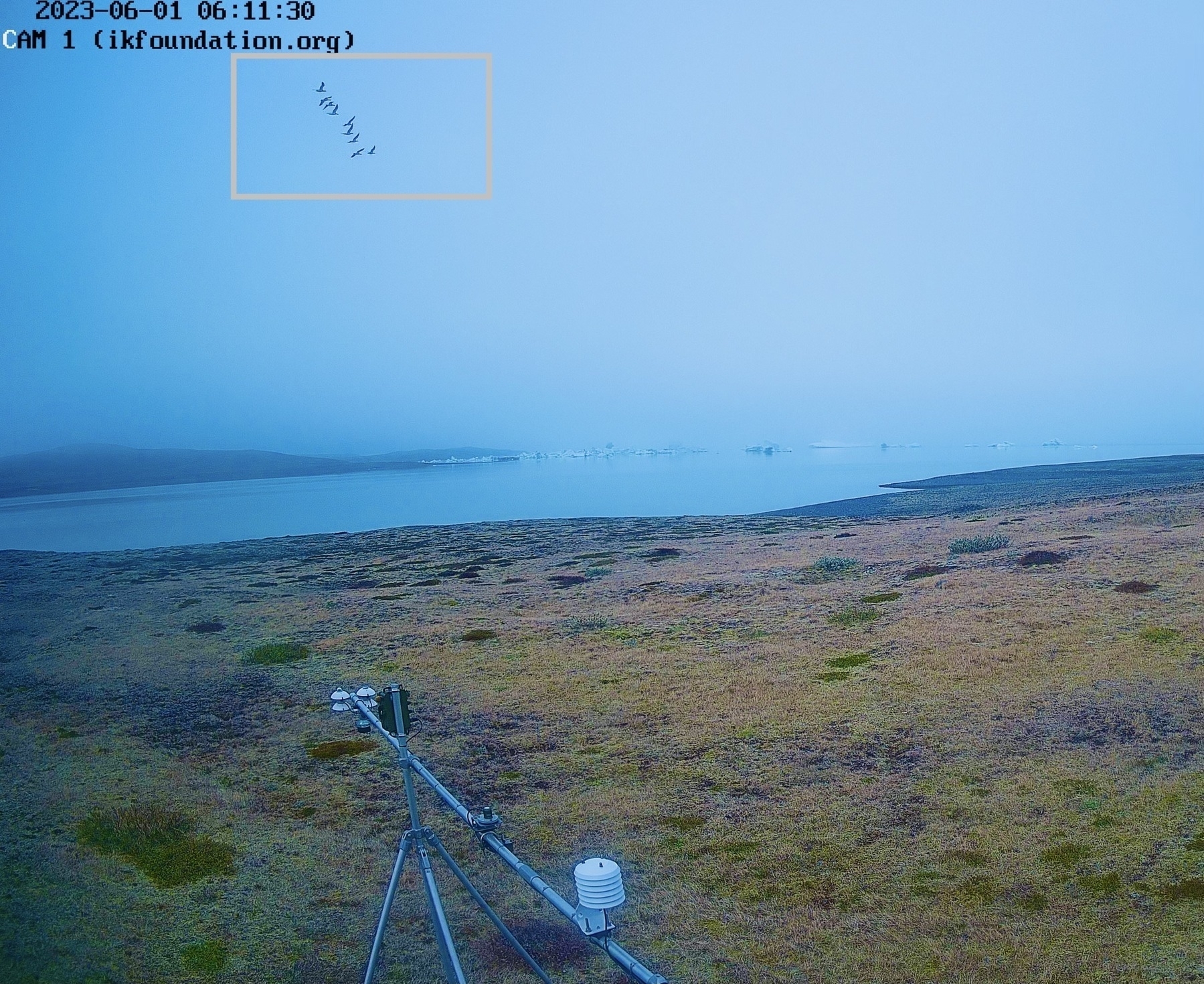 THE FIELD STATION | SOLANDER’S EYE #Solander250 in #vatnajokullnationalpark @uni_iceland
Solander’s Eye observed a flock of geese. Audio recordings are also made in intervals around the clock, but not online, published afterwards.