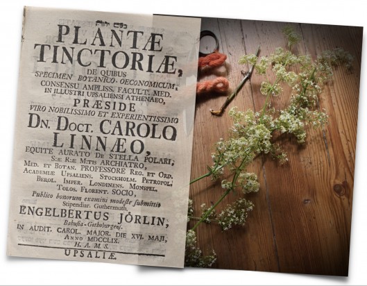 NEW ESSAY | iTEXTILIS | Plantæ Tinctoriæ – A Dissertation in 1759 and Carl Linnaeus’ Observations of Natural Dyes.  > www.ikfoundation.org/itextilis…