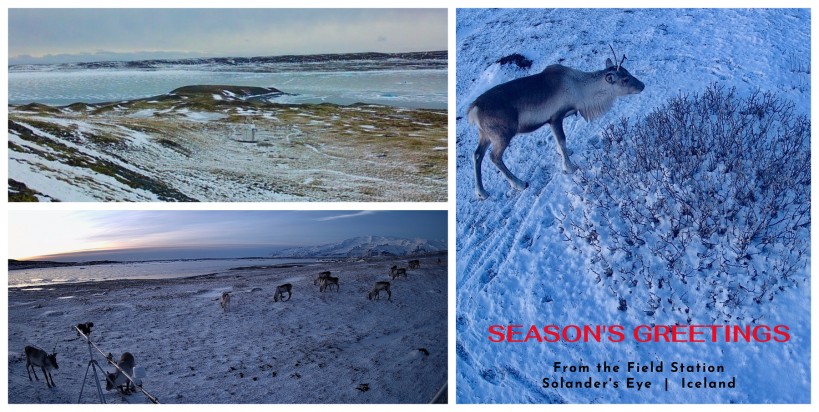 THE FIELD STATION SOLANDER’S EYE | Breiðamerkurjökull | The Glacier Lagoon, Iceland. 
From the young and wild Nature at Breiðamerkurjökull in Vatnajøkull National Park – Season’s Greetings wishes to all interested…