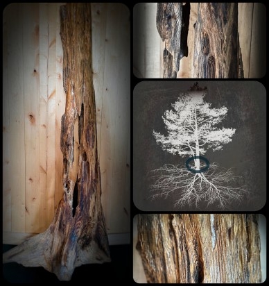 Unique pine tree trunk that sprouted after the last ice age ≈ 10,000 years ago, stood firmly on the bottom of the Baltic Sea for thousands of years. From a research project in the 1980s. Fully intact, still smells of resin—a work of nature and wonder. Now for sale! Contact IK for more information.