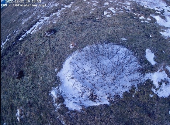 Update THE FIELD STATION | SOLANDER’S EYE #Solander250 in #vatnajokullnationalpark @Haskoli_Islands