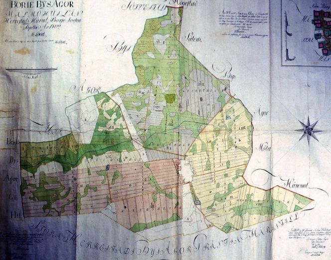 The map depicts how the farming land was divided between the villagers of Borrie, Herrestad in south-eastern Skåne 1802, before the partitioning of the village, with all fields separated into narrow stripes. (Owner: Christinehof Archive’s map collection. Photo: The IK Foundation, London).