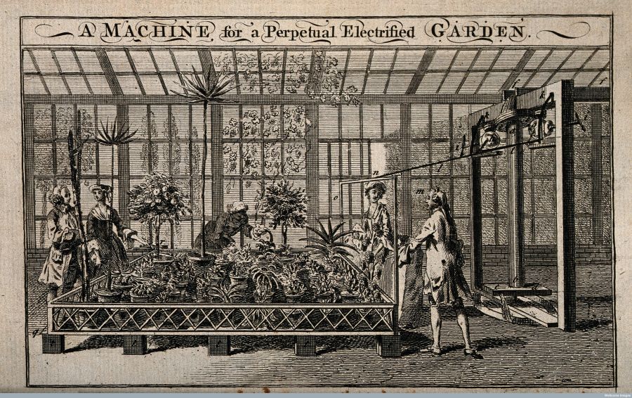 Etching from ca 1755 depicting a gardener/female servant in a somewhat concealed position, together with wealthy owners or visitors judging by the sumptuous and fashionable clothing. All four viewing ‘A Machine or a perpetual Electrified Garden’ used in a large glasshouse. (Courtesy of: Wellcome Library, London no. V0016451).
