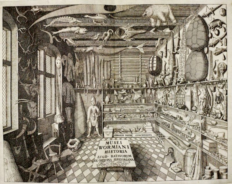 To arrange a cabinet of curiosities was a well-established tradition already in the 17th century, which this image demonstrates with its rich variety of “curious objects”, including garments seen as “exotic” among numerous ethnographical, natural history objects, etc. Such arrangement and classification replaced the original use of an object or natural habitat for a living organism.|Text in picture: ’Ole Worm (1588-1654), a doctor and professor of natural philosophy in Copenhagen, used his collection to teach students’. (Courtesy: Smithsonian Libraries, see sources).