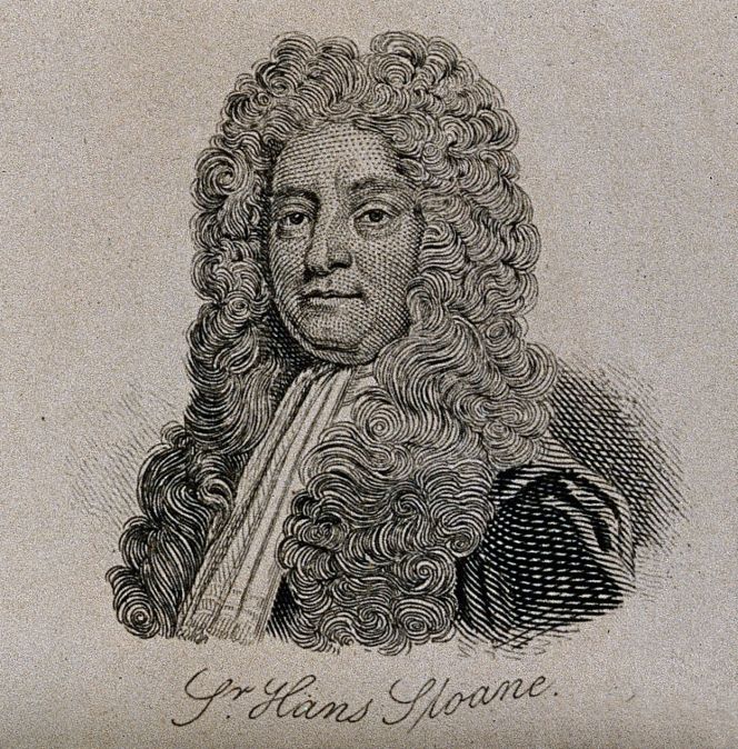  Line engraving of Hans Sloane by W. H. Lizars after T. Murray in 1722 or about twenty-five years before Pehr Kalm visited Sloane’s collection. (Courtesy of: Wellcome Images, No: V0005467ER).