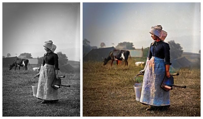 A second photograph by Frank Meadow Sutcliffe shows evidence that the traditional bonnet was also used in the local farming community. Furthermore, this – portrait of Lorna McNeil in 1902 at Low Hawsker just outside Whitby – is one of several photographs of young women wearing a bonnet when doing everyday work on farms. The poke at the front also gave protection from the sun. This collage, including modern digital colouring of the old glass plate photograph, is informative as it uniquely reveals the often preferred white and red cotton fabric for the bonnets. (Courtesy: Whitby Museum, Photographic Collection, Sutcliffe 14-9) & added modern digital colouring.