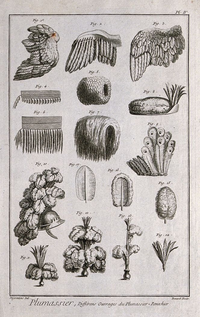 ‘Various feather accessories for wigs and hair. Engraving by R. Bénard after Degerantins’ in 1762. This French engraving gives a multitude of examples of feather accessories, among many uses as a muff (Fig 5) and a feather boa (Fig 7), probably of similar models as observed by Pehr Kalm in a coastal town of Norway in 1748, quoted below. (Courtesy of: Wellcome Library no. 29313i).