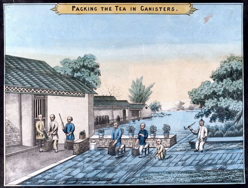 This coloured engraving of ‘A tea plantation in China: workers pack the tea into canisters for export’, dated to around 1800, but even so gives interesting details of such a procedure also earlier in time of the transportation of tea to Europe. The men are wearing working trousers and jackets – indigo dyed, light yellow or naturally white – probably made of cotton fabric. While such depicted basket shaped canisters were delivered to the supercargoes at the local merchants, close to the European factories in the harbour, to be quality checked before the tea was packed in chests. The finer sorts, could according to a travel journal from 1745-48 by the ship’s chaplain Israel Reinius (1727-1797), not be stamped and packed so hard together, as some coarser sorts. The finer tea as Pekoe, Congo and Souchong were due to this carefully packed in chests dressed with paper on the inside and at the top covered with a piece of cotton fabric for extra protection. The three tea sorts mentioned by Reinius were also part of the cargo on a Swedish East India Company ship of a few years later, which can be studied in great detail via Pehr Osbeck’s journal, listed below. (Courtesy: Wellcome Library: unnumbered. Creative Commons).