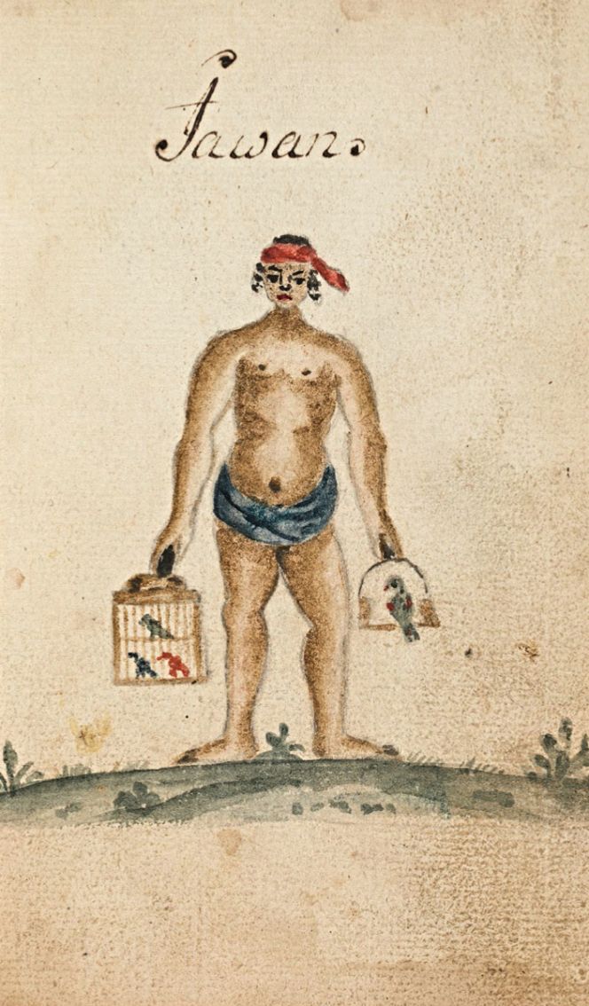 The 19-year-old Carl Fredrich von Schantz travelled on the ship ‘Götha Leijon’ in the same year as Carl Linnaeus’ apostle Christopher Tärnström (1711-1746) sailed on the ‘Calmar’ towards China. Taken from the youth’s travel notes is this Javanese wearing the typical loincloth according to the country's custom. Schantz described the local men’s loincloth briefly, without any note about the material or dyes used for the illustrated blue cloth. This was the kind of dress Tärnström observed on his visit to Java, however, whereas his notes make no mention of indigo-dyed fabrics. That the man depicted used a blue fabric was no coincidence, as the tradition of dyeing blue had by that time already long been in existence in the Javanese archipelago, just as in many other tropical and subtropical warm regions where the plant Indigofera tinctoria thrived. (Courtesy: Kungliga Biblioteket… M 292, p. 66).