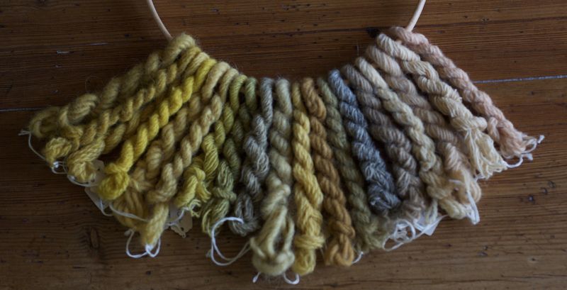 A selection of yellowish shades, possible to dye with plants in southernmost Sweden, indicate the multitude of possibilities which the dyers of pre-synthetic methods undoubtedly had for dyeing wool of such colours with domestic plants. (Private ownership). Photo: The IK Foundation.