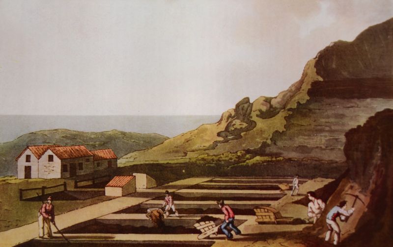 A somewhat earlier illustration of the alum works at Kettleness close to Whitby on the Yorkshire coast is evidence of the hard work involved in hacking out alum slate for loading into wheelbarrows, for  further transport to basins where the alum would undergo the alum works process.  (Aquatint by Georg Walker engraved by Robert Havell, 1814.)