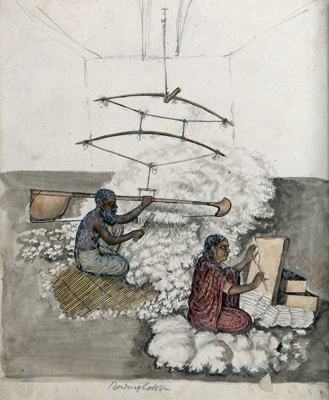 Even if not mentioned by König, these processes included some initial stages before the cotton was spun and woven into the fabric of various qualities. ‘Bowing cotton’ in India – a technique also used in the 18th century – that is to say, preparation of the fibres or carding. The man in the picture used a large bow to entangle the fibres, whilst the woman makes the fluffy cotton into equal-sized rolls, so in the next stage, the fibre could be spun into fine cotton thread. | By an unknown Indian artist, dating circa 1800-1899. (Courtesy: Wellcome Library, no. 576236i, watercolour with pencil and pen).