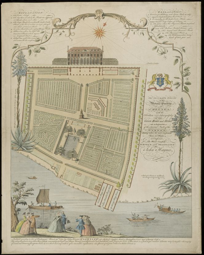 A detailed and beautiful view of ‘The Physic Garden, Chelsea: a plan view. Engraving by John Haynes, 1751’. The plan gives an impression of wealthy visitors to the garden, dressed in the latest fashion. Furthermore, this depiction was made just a few years after Pehr Kalm’s visit to Hans Sloane, who since 1713 had been the owner of the manor house in picture. Kalm was one of numerous naturalists, botanists and other individuals of the time, who were associated with the garden and its wide range of native and non-native plants. One such plant for natural dyeing of yarn and fabric was the useful madder (Rubia tinctorum) for hardy red colours, as informed by the chief gardener Philip Miller (1691-1771) of Chelsea Physic Garden in his book published in 1758. (Courtesy of: Wellcome Images, No: Iconographic Collection 662588i).