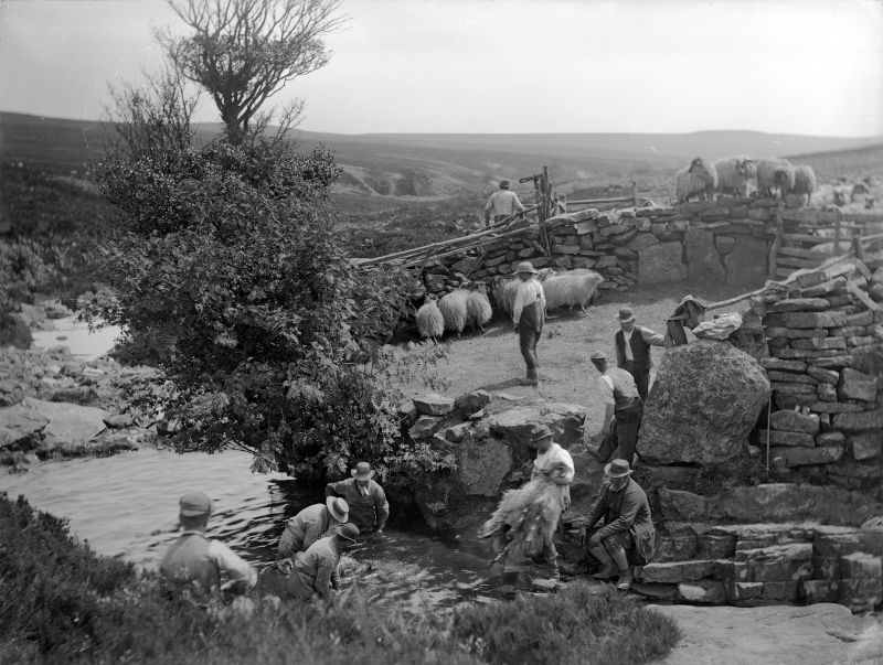 Frank Meadow Sutcliffe has captured sheep being washed in a stream close to the North York Moors, circa 1890s. The wool was washed to clean it and make it easier to handle during and after shearing. Notice the man to the right, who seems to oversee the work, wearing visible woollen stockings in his low boots. There is no historical evidence of local mechanical spinning mills in Whitby from the end of the 18th century or later though, so the town’s traders must have imported the various kinds of wool yarn their customers required from elsewhere in England or from abroad (examples in advert below). If spinning by hand was practised locally around the time for this photograph, it was as small-scale handicraft. (Courtesy: Whitby Museum, Photographic Collection, Sutcliffe 8-13).