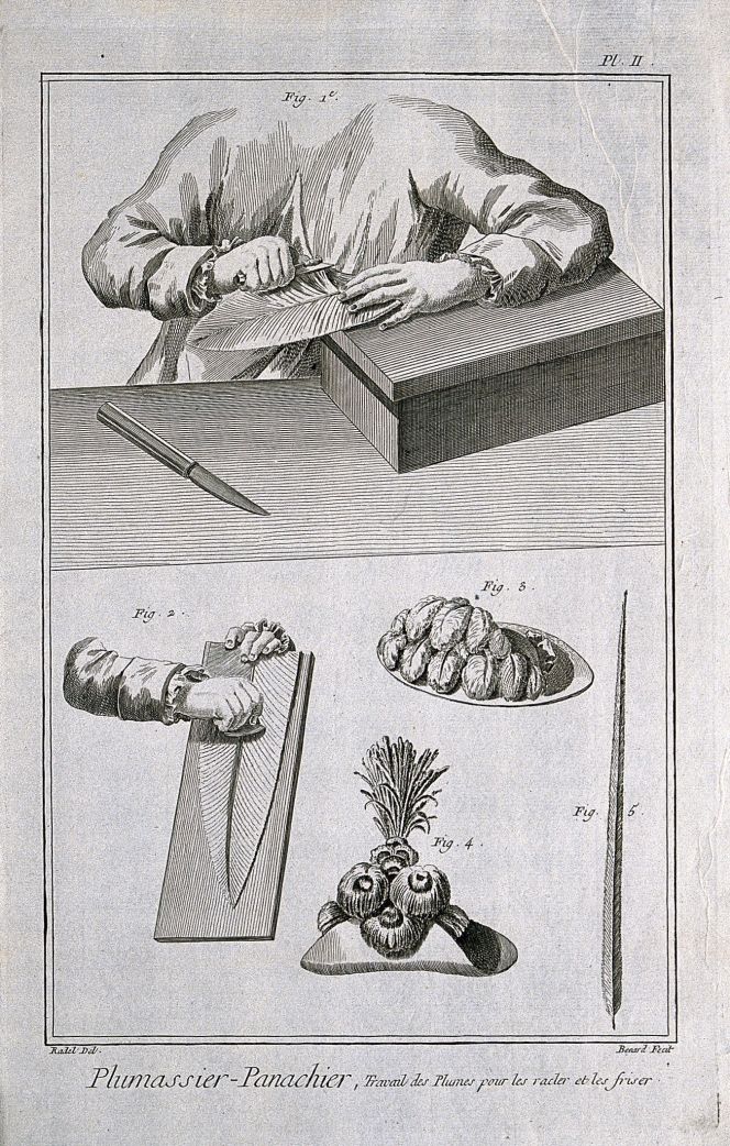 Detailed illustration demonstrating a specialist workshop making feather hats for the European luxury market in 1762. ‘A worker preparing a feather for use as a plume by scraping and curling, above; further preparation of a plume, two hats with plumes and a single plume, below. Engraving by R. Bénard after Radel.’ (Courtesy of: Wellcome Library no. 29257i).