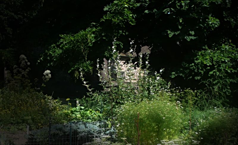This photograph shows parts of the reconstructed Bartram’s Garden in Philadelphia, which focuses on Native American plants cultivated by several generations of the family from about 1728 to 1850, and was visited here in July 2014. (Photo: Lars Hansen, The IK Foundation, London).  