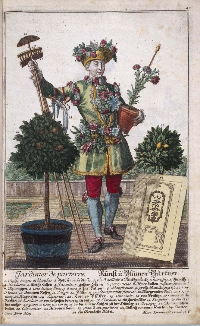 A depiction of a third gardener is sprung from a totally different tradition where the main objection is to impress, dating ca 1721. He is portrayed with tools, a parterr sketch, listed and numbered exotic plants, the most desired flowers for a wealthy household, citrus plants and carnations in pots – furthermore his dress looks very sumptuous made of the finest silks. It may be assumed that he was the head gardener at a castle or great manor house on the Continent, as the coloured engraving was made by Martin Engelbrecht from Augsburg. (Courtesy of: Wellcome Library, London, no. L0037480).