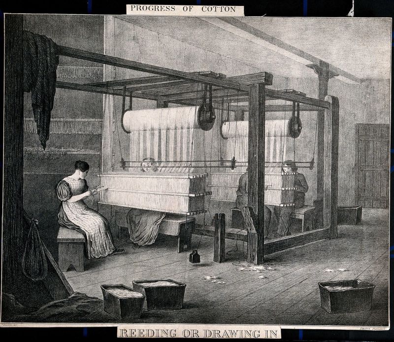 Women and children working at large cotton looms. It may also be reflected that illustrations of this kind left out the dirt and unhealthy working conditions in the textile industry. This image almost gives a calm and peaceful atmosphere of the everyday work of reeding the thousands of warp threads through each and every heddle. 19th century Lithograph after Barfoot. (Courtesy of: Wellcome Library, London, no. V0039852).