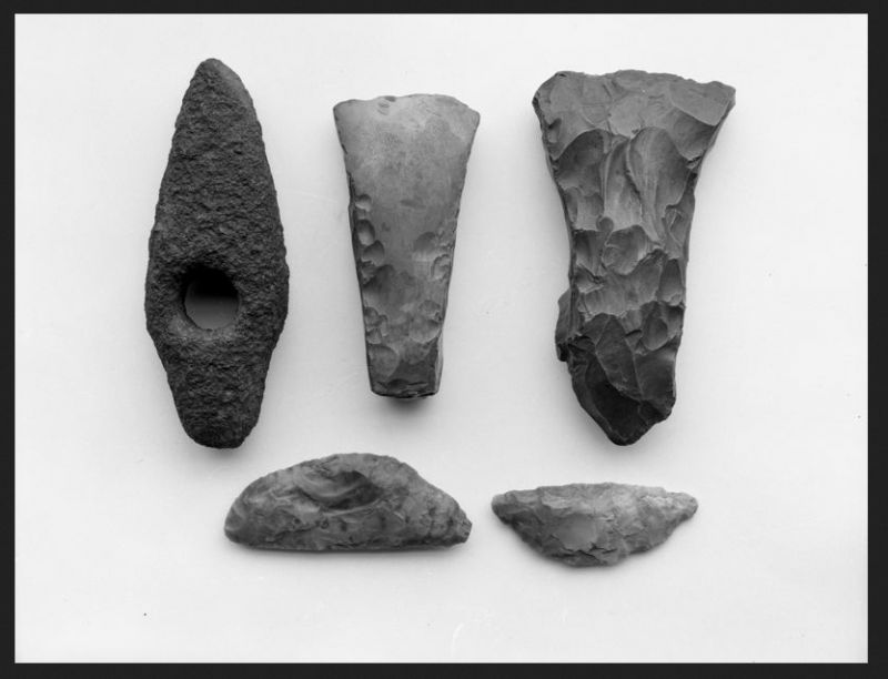 The two small-sized implements were possibly used for preparing skins for clothing. Bronze Age finds (axes and hide scrapers) originating from Hindbygården. Courtesy of Malmö Museer: Photo by unknown photographer (EH 000681).