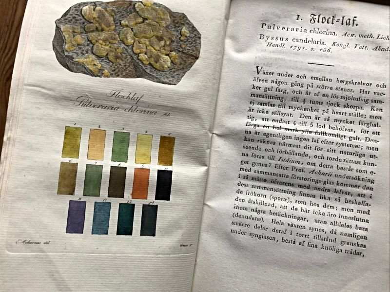 Plate 1. ‘Flock-laf’ (mustard powder lichen), with seventeen receipts for wool and silk. (From: Westring, Joh. P…1805). Private Collection. Photo: The IK Foundation.