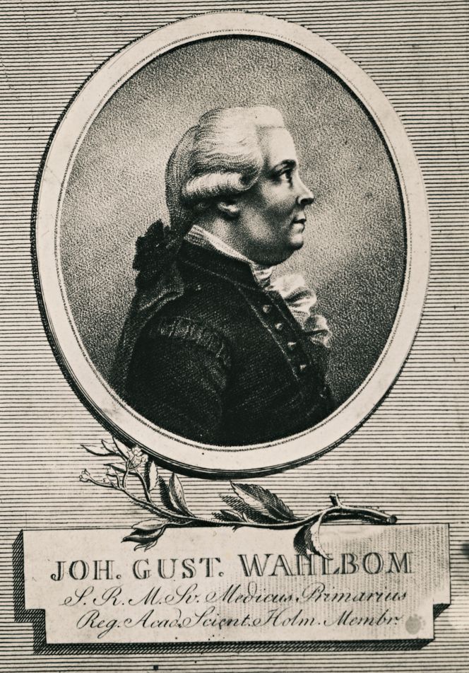 Many of Linnaeus' former students evidently wished to assist him in botanical matters which they knew were of interest to their former professor. One was Johan Gustaf Wahlbom (1724-1808), illustrated on a copper engraving by J.F. Martin in 1796. (Courtesy: Kalmar läns museum, KLMF.B01795. DigitaltMuseum).