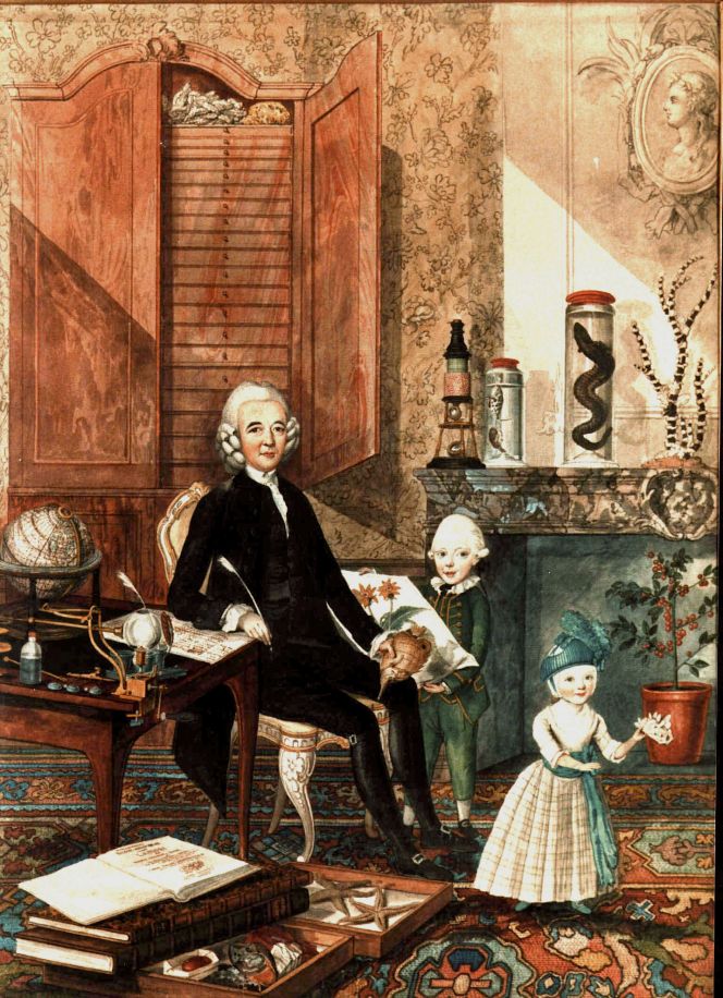 A homely portrait of the botanist Jan Frederick Gronovius’ naturalist son Laurens Theodoor Gronovius (1730-1777) and his children. Gronovius “the Elder” (1690-1762), who passed away a fifteen year before this painting was made, was a patron of the young Carl Linnaeus during his time in Leiden and the two men kept up an extensive correspondence over the years from about 1735 to 1756. This depiction gives an interesting and rare insight into knowledge over generations, when his son and grandchildren were illustrated in 1775 with all possible objects worthy of a successful man of science. Highlighted by the cabinet with drawers, a reptile kept in a glass jar filled with spirits, botanical plates, a potted plant, corals, a globe, natural history books etc. Whilst of textile interest – the floor was covered with a large sized colourful Caucasian carpet. (Courtesy: Lakenhal Museum, Leiden. Painted by Isaac L. la Fargue van Nieuwland. Wikimedia Commons).