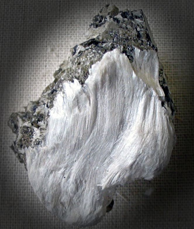 ‘Fibrous tremolite asbestos on muscovite’ – the same type of asbestos used for the plaited purse above and as observed by the naturalist Pehr Kalm. (Courtesy: Natural History Museum, London. Public Domain).