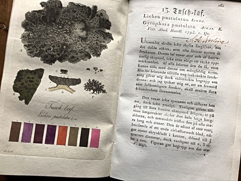 Plate 13, ‘Tusch-laf’ (Ink lichen), with 30 receipts for wool and silk, added with instructions to make ink. (From: Westring, Joh. P…1805). Private Collection. Photo: The IK Foundation.