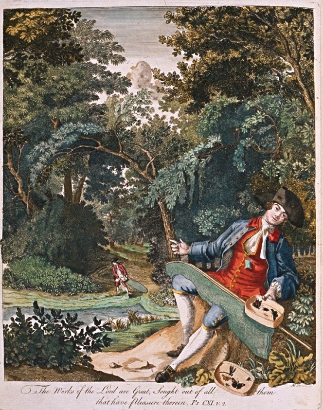 Illustration of the entomologist Moses Harris (1730-1787), probably depicted in an English landscape. This detailed frontispiece is a particularly enlightening comparison to the written words of the travelling naturalists, not only due to the mode of collecting insects in suitable wooden boxes assisted by a large-sized net, but also because Harris wore black leather shoes with buckles and a wig and a wide-brimmed hat. (From: Harris, Moses…The Aurelian frontispiece 1766).