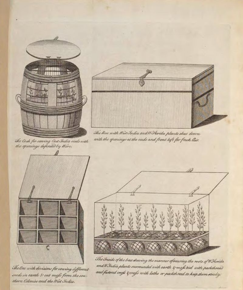 John Ellis’ (c.1710-1776) book on ‘Directions for Bringing over Seeds and Plants, from the East Indies and Other Distant Countries…’ includes this detailed depiction of transportation in boxes over land and sea. Furthermore the book among many references mentioned his correspondence with Carl Linnaeus ‘some years ago’ and the Swedish botanist’s advice how to keep moisture of seeds in the best possible way. As Ellis was a naturalist – member of Royal Societies in London and Uppsala – as well as a linen merchant, one may assume that linen should be a material mentioned in the book, but it was not. Paper, fine sand, salt, wet moss and beeswax were primarily recommended as preservation for seeds. He also mentioned: ‘Dip some square pieces of cotton cloth in melted wax…’ as an assisting material. (Courtesy of: Hunt Institute for Botanical Documentation, Carnegie Mellon University, Pittsburgh, Pa. HI Library call no. MC1 E47D – from John Ellis, 1770, pp 11-12).